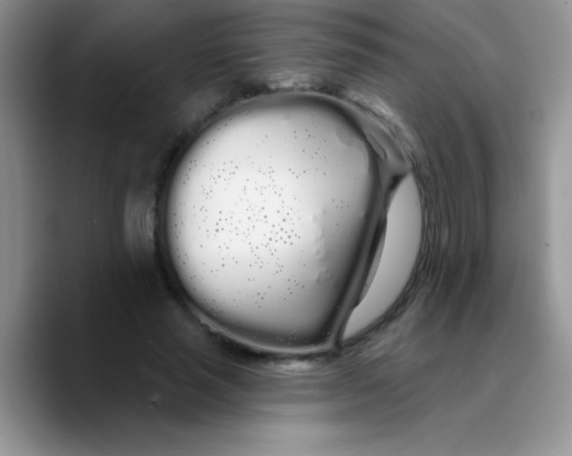 X0000089760637200707201943