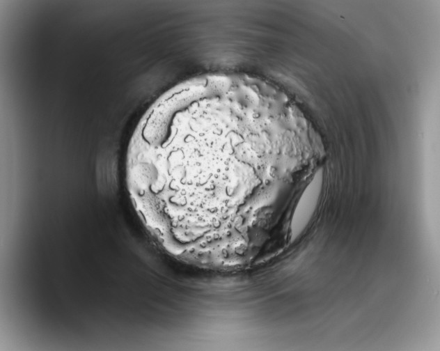 X0000089760638200707201943
