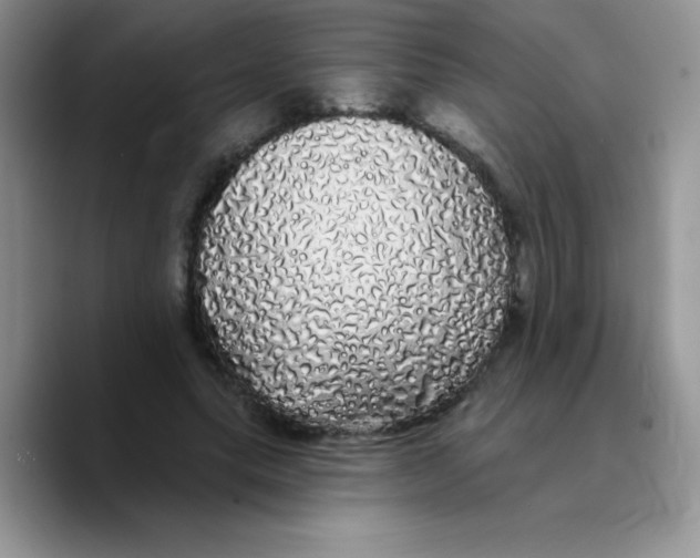 X0000089760639200707201943