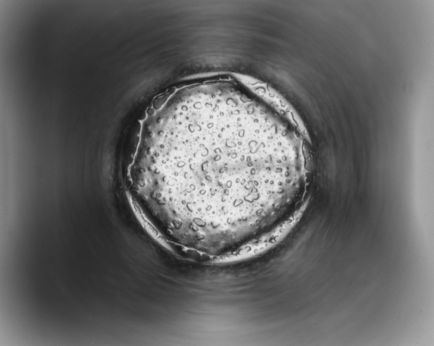 X0000089760640200707201943