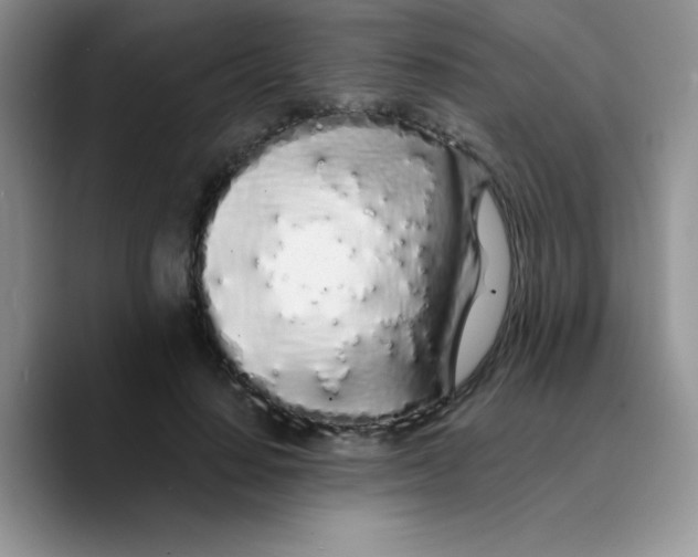 X0000089760644200707201943
