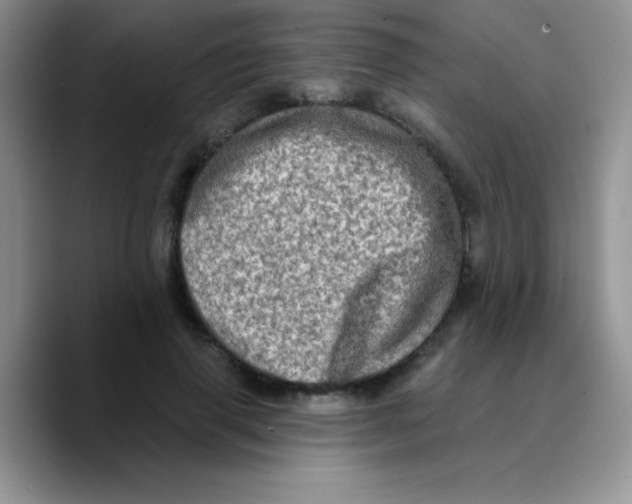 X0000089760645200707201943