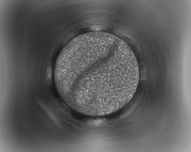 X0000089760646200707201943