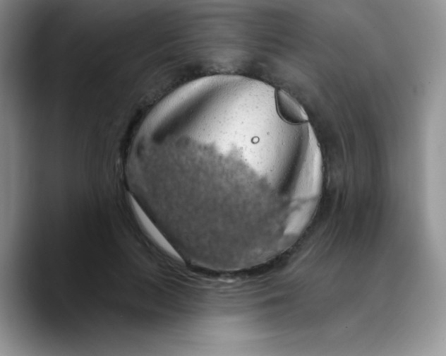 X0000089760647200707201943