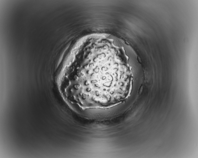 X0000089760648200707201943
