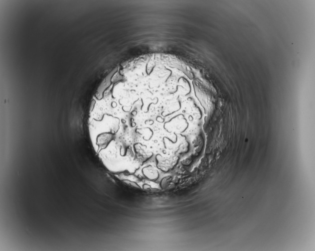 X0000089760650200707201943