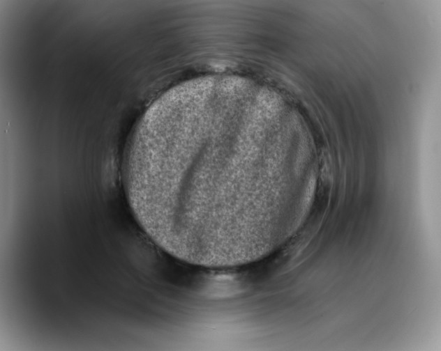 X0000089760651200707201943