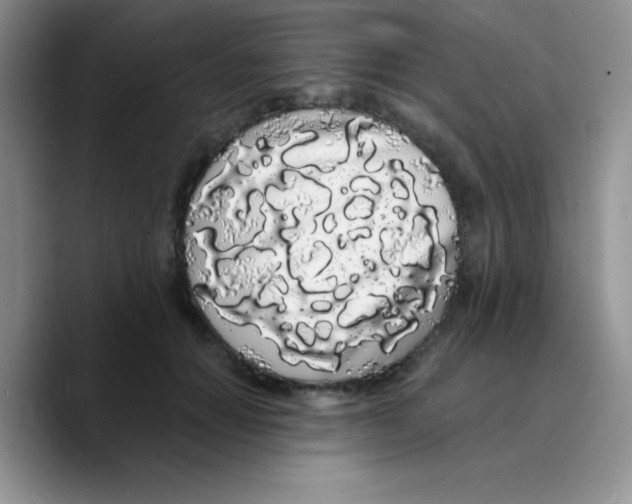 X0000089760654200707201943