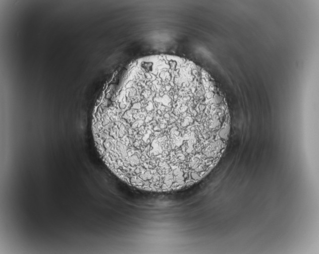 X0000089760656200707201943