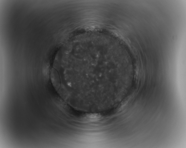 X0000089760659200707201943