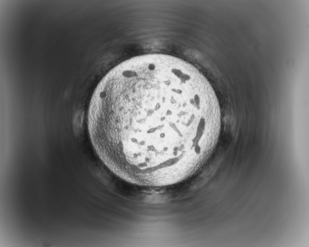 X0000089760660200707201943
