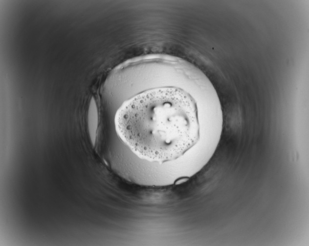 X0000089760661200707201943