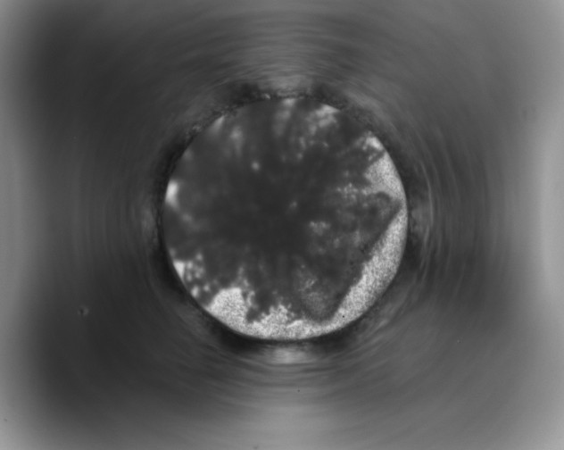 X0000089760662200707201943