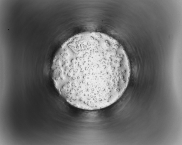 X0000089760665200707201943