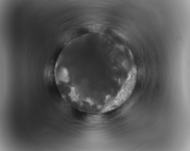 X0000089760671200707201943
