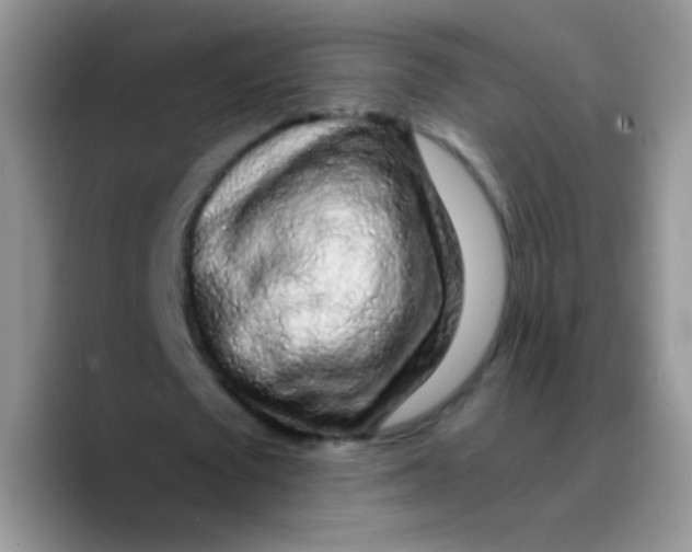 X0000089760673200707201943