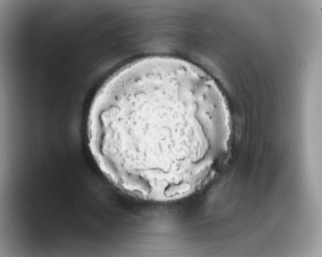 X0000089760675200707201943