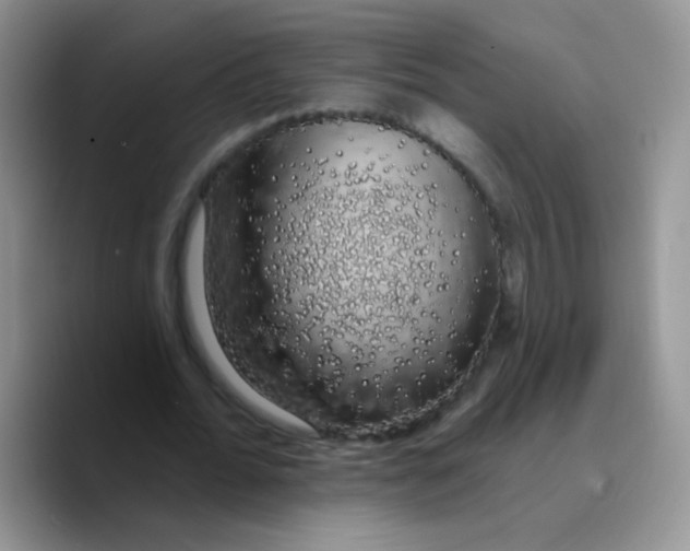 X0000089760676200707201943