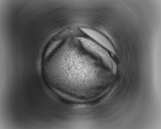 X0000089760677200707201943