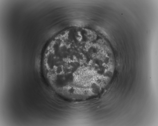 X0000089760679200707201943
