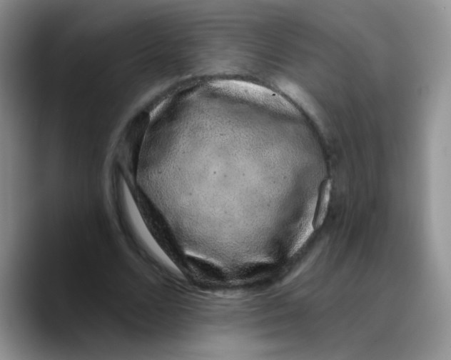 X0000089760680200707201943
