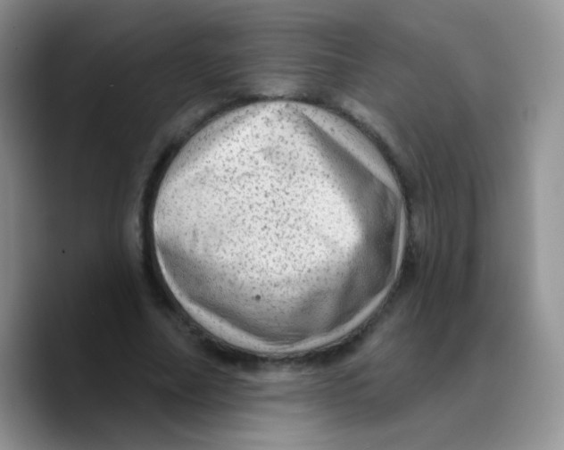 X0000089760682200707201943