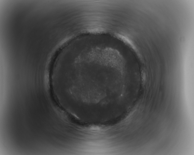 X0000089760684200707201943