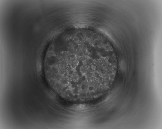 X0000089760687200707201943