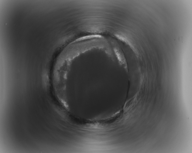 X0000089760688200707201943