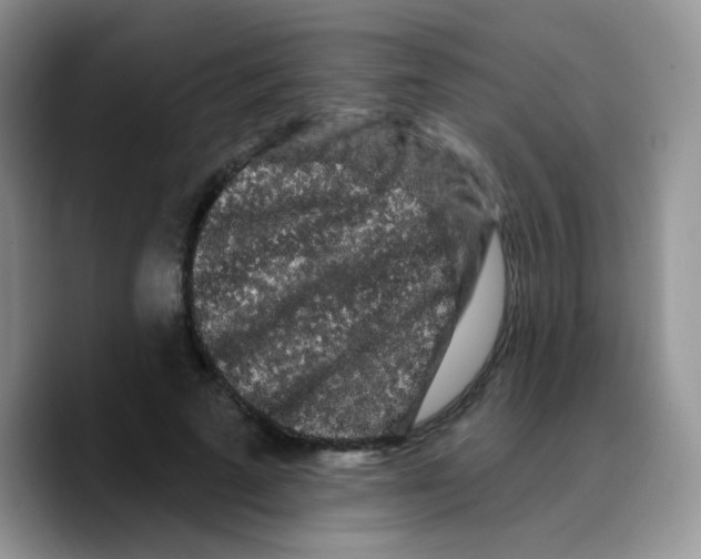X0000089760689200707201943