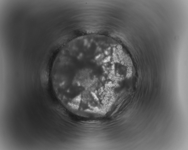 X0000089760691200707201943