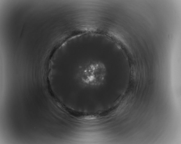 X0000089760692200707201943