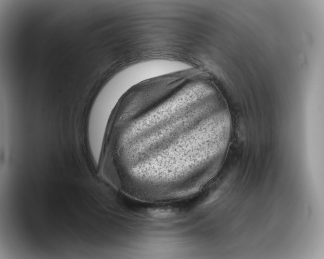 X0000089760693200707201943