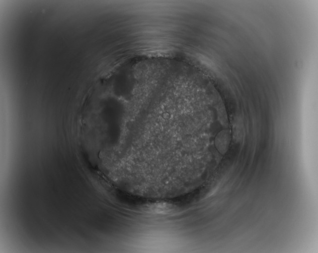 X0000089760695200707201942