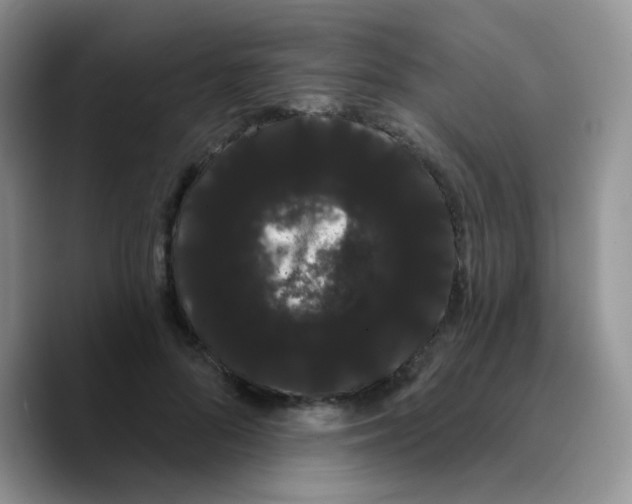 X0000089760696200707201942