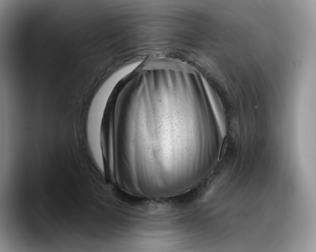 X0000089760697200707201942