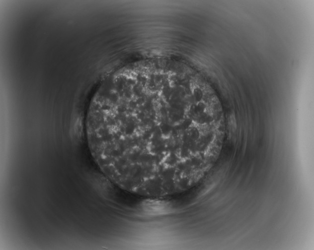 X0000089760699200707201942