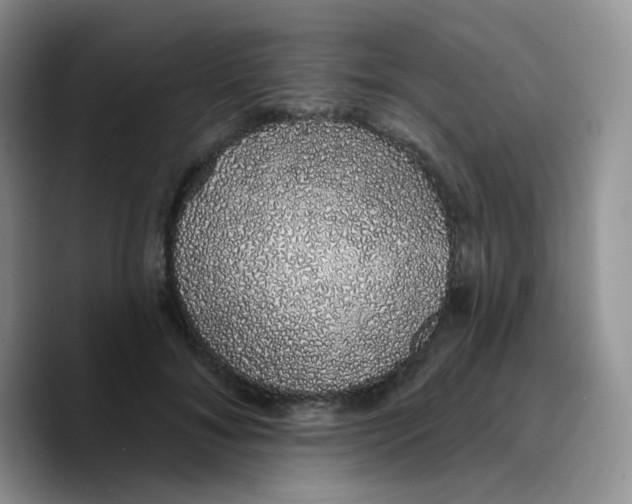 X0000089760700200707201942