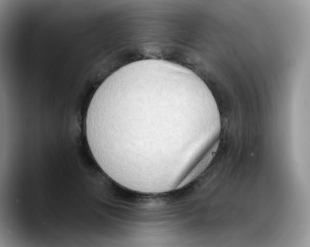 X0000089760702200707201942