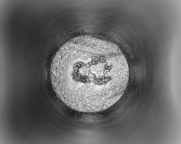X0000089760703200707201942