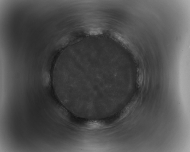 X0000089760704200707201942