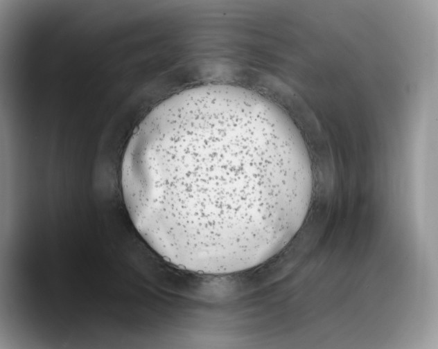 X0000089760705200707201942