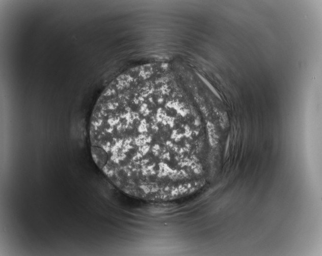 X0000089760707200707201942