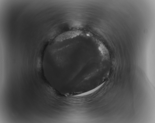 X0000089760708200707201942