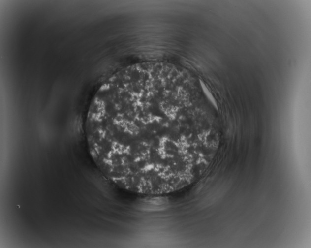 X0000089760711200707201942