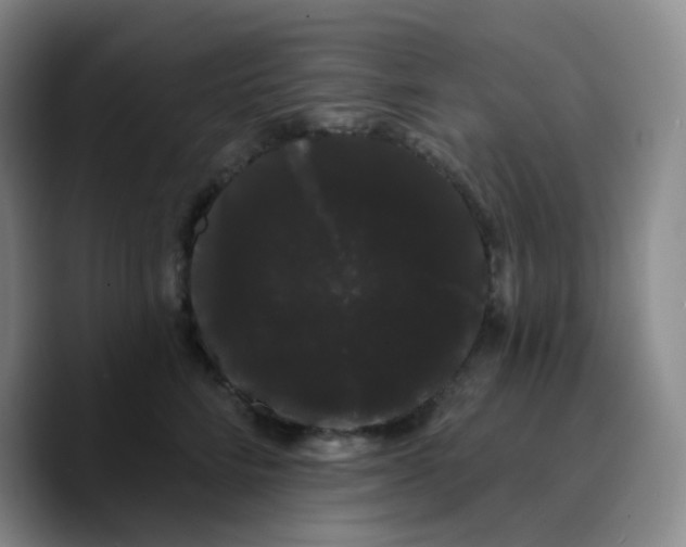 X0000089760712200707201942