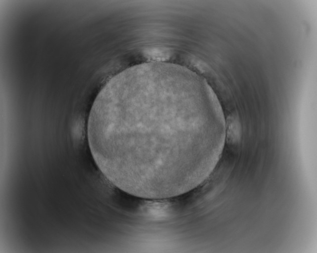 X0000089760713200707201942