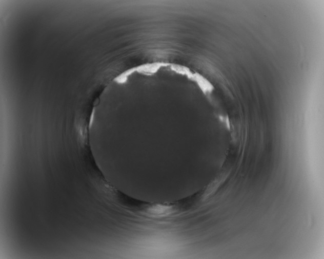 X0000089760718200707201942