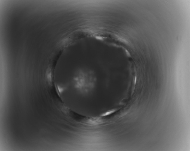X0000089760720200707201942