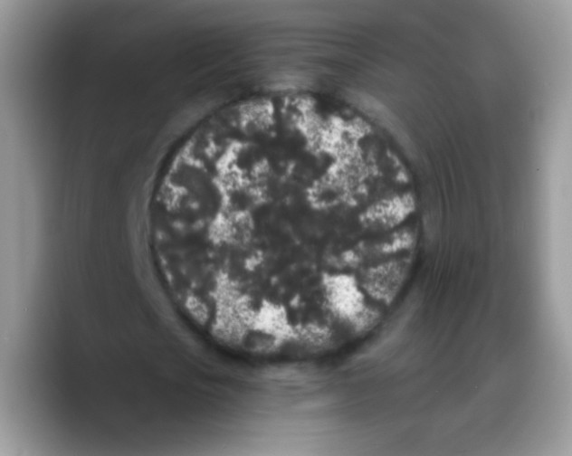 X0000089760721200707201942